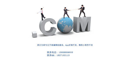 新手做网站初期规划该注意些什么?