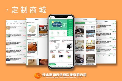 佳木斯网云邀您一起走进网络时代,共建网站商城