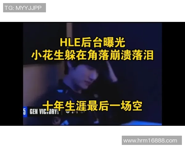 花生告别赛场HLE不敌GEN解说员回顾最后一舞的感人瞬间